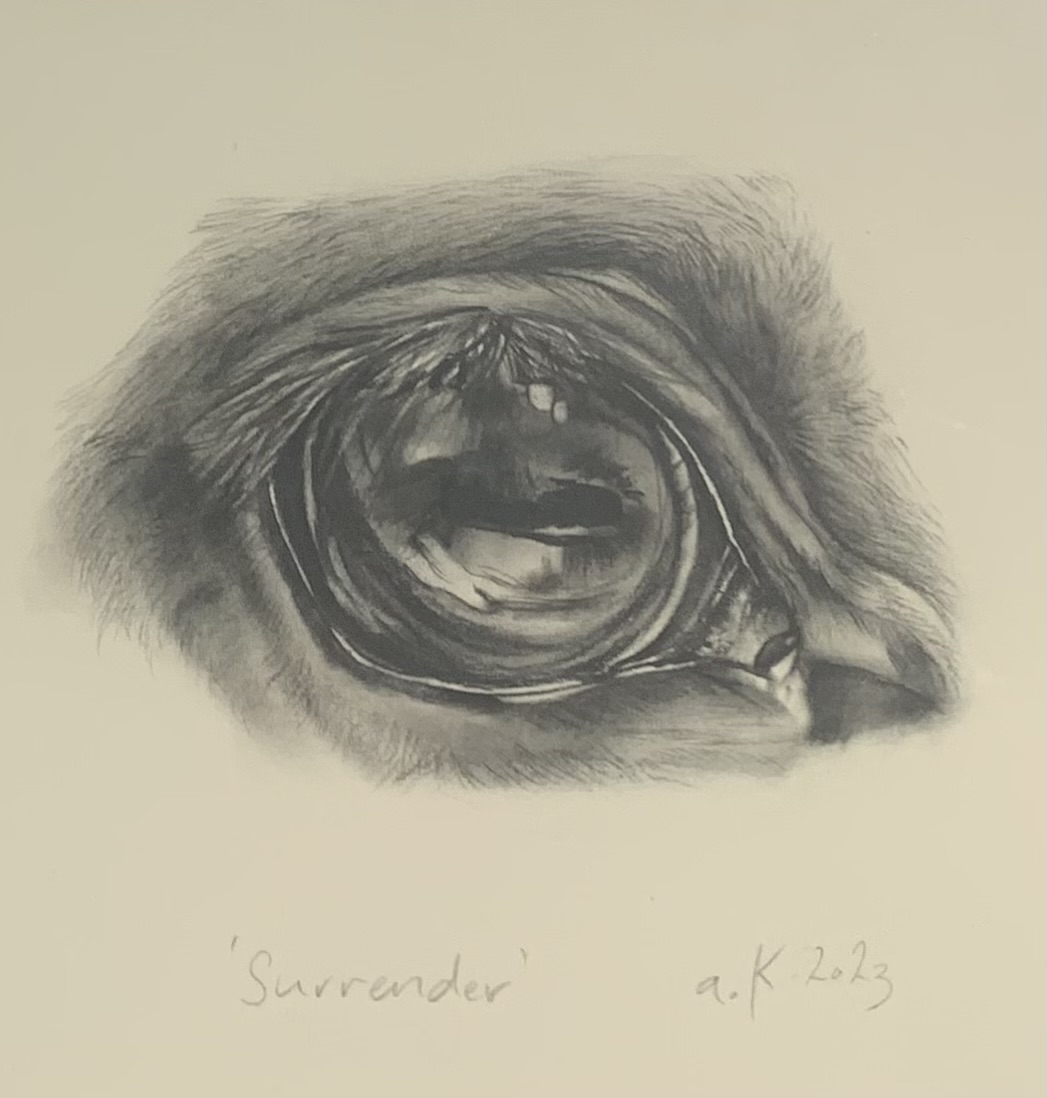 Ashley Knox | Surrender|McAtamney Gallery and Design Store | Geraldine NZ